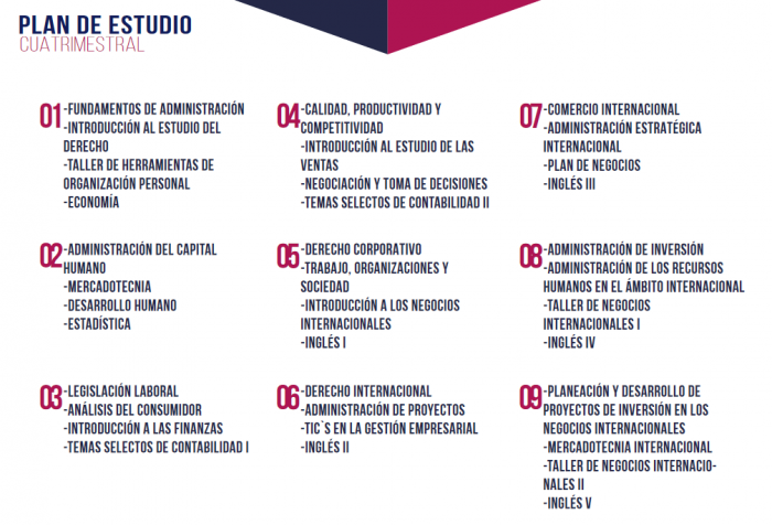 Plan de estudio Lic en negocios y comercio